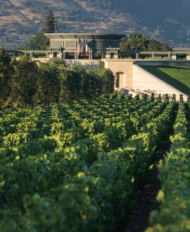 Green vineyards with the Opus One building in the back