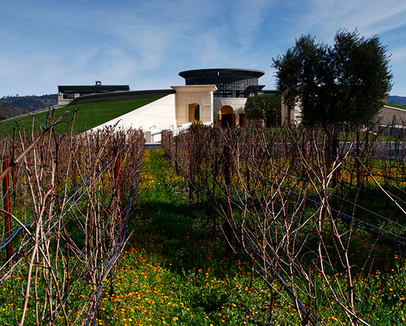 Opus One Vineyards
