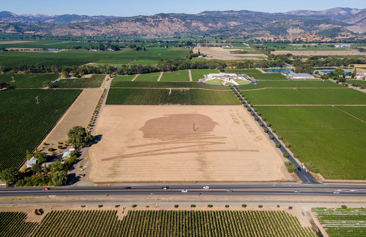 A drone shot of the Opus One building and surrounding vineyards, with an outline of the Opus One heads logo in front of the winery, outlined by mowed crop.