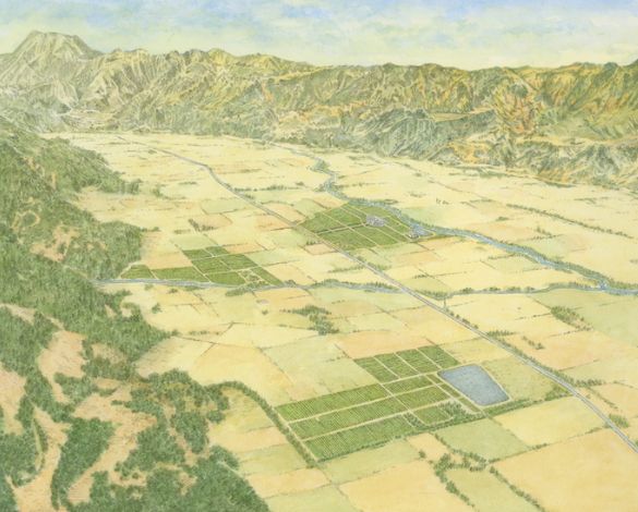 Opus One Estate Map with green, blue, and yellow.
