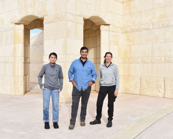 Opus One 2024 (Harvest Interns)