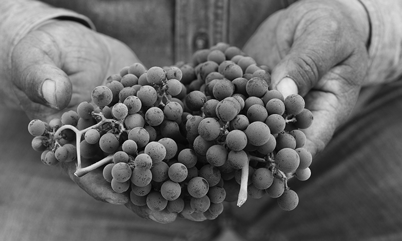 Balance Achieved, Harvest Begins