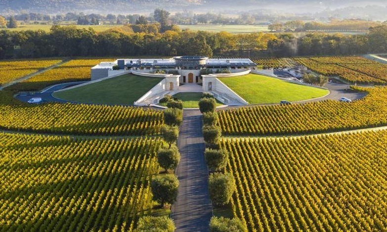 Opus One in the fall