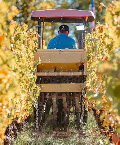Seeding cover crop in To Kalon
