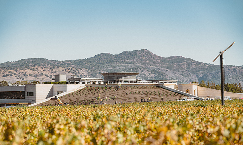 The evolution of the Opus One berms continues.