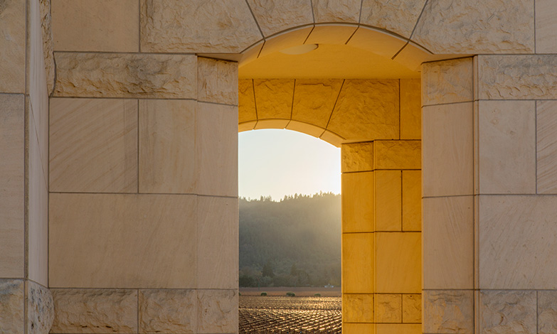 Since our first carbon calculation, Opus One has transitioned 100 acres of Estate vineyards to regenerative farming practices - incorporating diverse cover crops, grazing, no-till methods, and precision irrigation strategies. These efforts have nurtured biodiversity, improved soil health, and strengthened grapevine resilience.