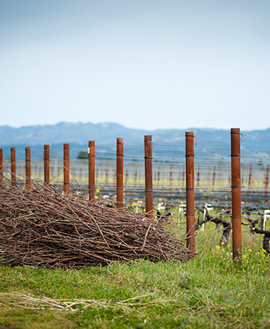 Setting the stage for the season